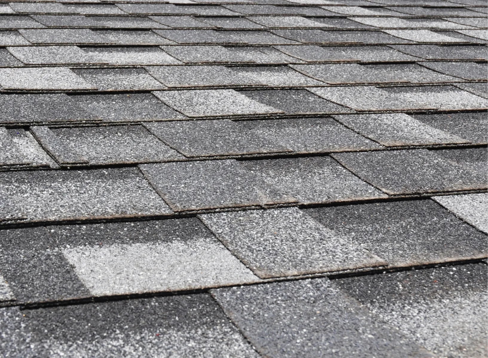 Asphalt Shingle Roofs